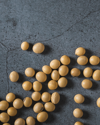 Soya Beans CFDs